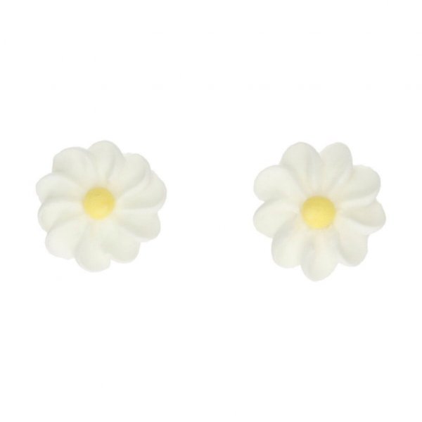 Zuckerblumen - Gnseblmchen