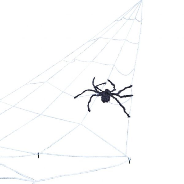 Großes Spinnennetz - Mit Spinne Großes Spinnennetz - Mit Spinne