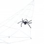 Großes Spinnennetz - Mit Spinne Großes Spinnennetz - Mit Spinne