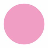 Rosa Rosa