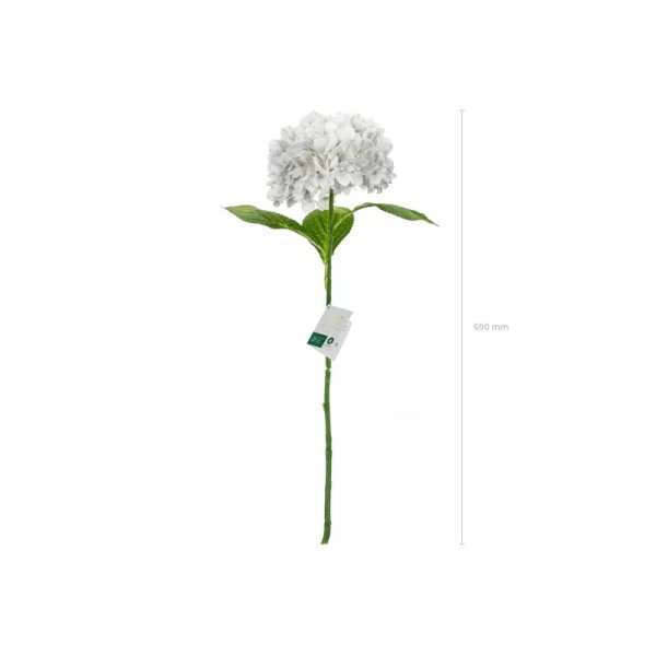 Hortensie - 69 cm - Premium - Weiß Hortensie - 69 cm - Premium - Weiß