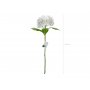 Hortensie - 69 cm - Premium - Weiß Hortensie - 69 cm - Premium - Weiß
