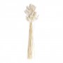 Getrocknetes Gras - Hasenschwnze - Naturwei