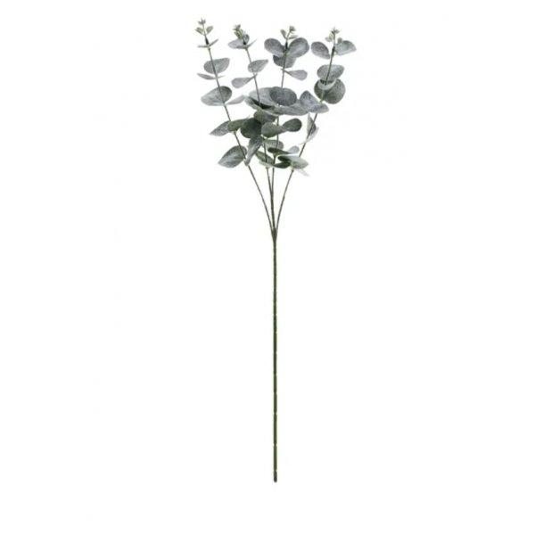 Eukalyptuszweig - 60 cm
