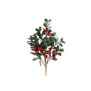 Preiselbeerreis mit Preiselbeeren - 25 cm Preiselbeerreis mit Preiselbeeren - 25 cm