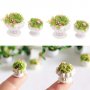 Miniartikel - Topfblumen - 2er-Pack Miniartikel - Topfblumen - 2er-Pack