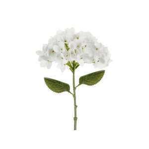 Hortensie - 35 cm - Weiß Hortensie - 35 cm - Weiß