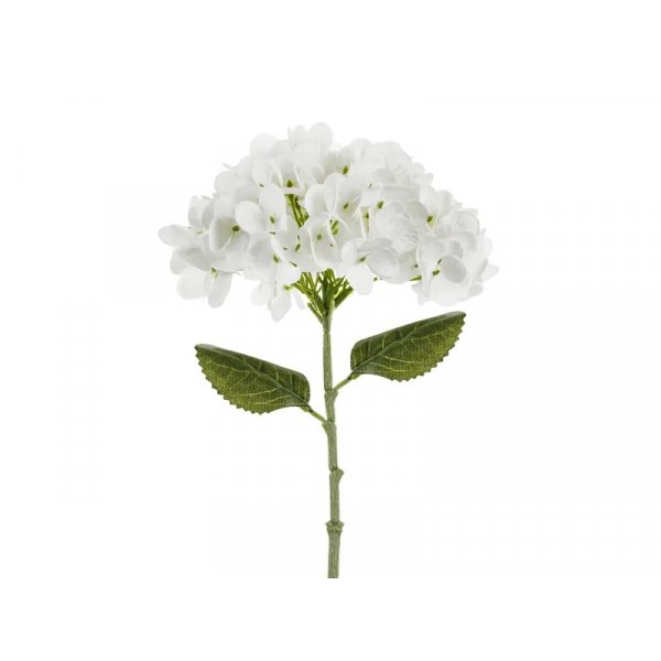 Hortensie - 35 cm - Weiß Hortensie - 35 cm - Weiß