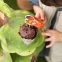 Kuchenspießer - Freunde des Waldes - 9er-Pack Kuchenspießer - Freunde des Waldes - 9er-Pack