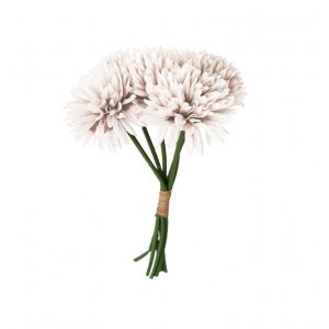 Dahlien - 6er-Pack - Weiß Dahlien - 6er-Pack - Weiß