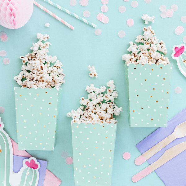 Popcorn-Boxen - Lalala Llama - 6er-Pack