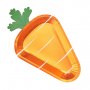 Pappteller - Carrot Crunch