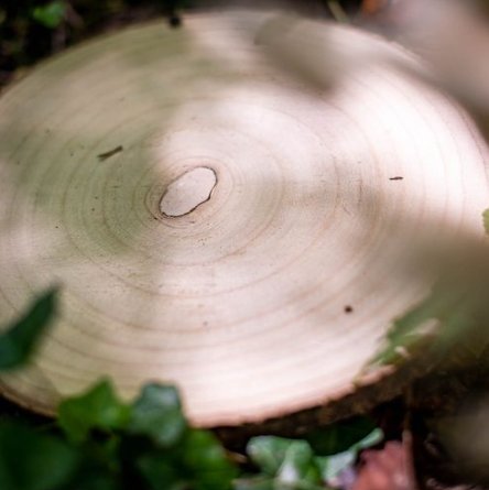 Holzbrett - 25 cm - Tischdekoration Holzbrett - 25 cm - Tischdekoration