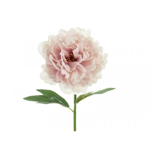 Pfingstrosenblüte - 35 cm - Hellrosa Pfingstrosenblüte - 35 cm - Hellrosa