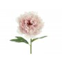 Pfingstrosenblüte - 35 cm - Hellrosa Pfingstrosenblüte - 35 cm - Hellrosa