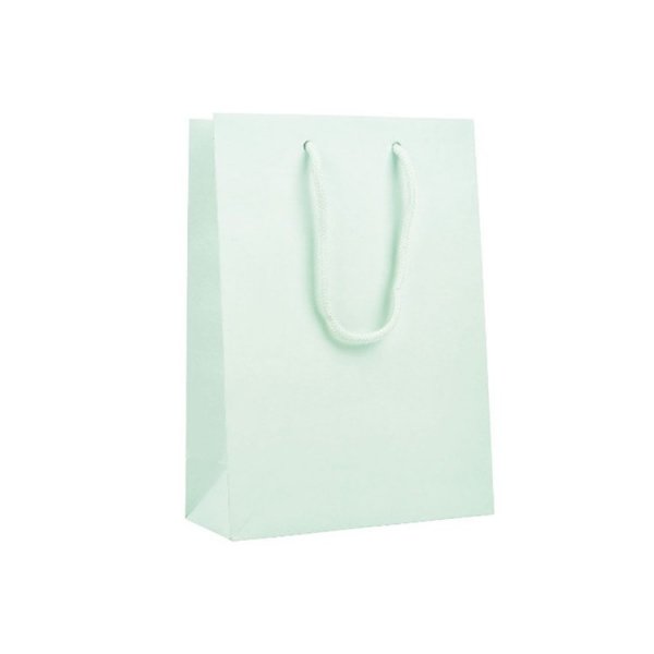 Geschenktüte - Pastellgrün - 22 x 10 cm - 1 Stück Geschenktüte - Pastellgrün - 22 x 10 cm - 1 Stück