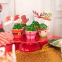 Cupcake-F�rmchen und Kuchenspie�er - Weihnachtsmotiv - 12er-Pack