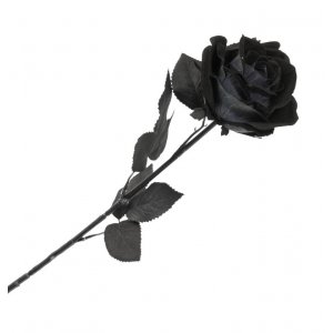 Dekoration - Halloween - Schwarze Rose - 65 cm Dekoration - Halloween - Schwarze Rose - 65 cm