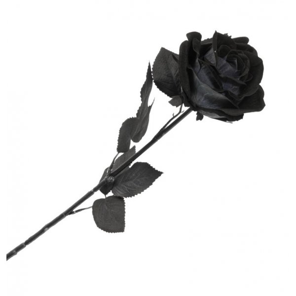 Dekoration - Halloween - Schwarze Rose - 65 cm Dekoration - Halloween - Schwarze Rose - 65 cm