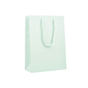 Geschenktüte - Pastellgrün - 22 x 10 cm - 1 Stück Geschenktüte - Pastellgrün - 22 x 10 cm - 1 Stück