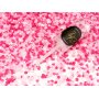Party-Popper - Pink