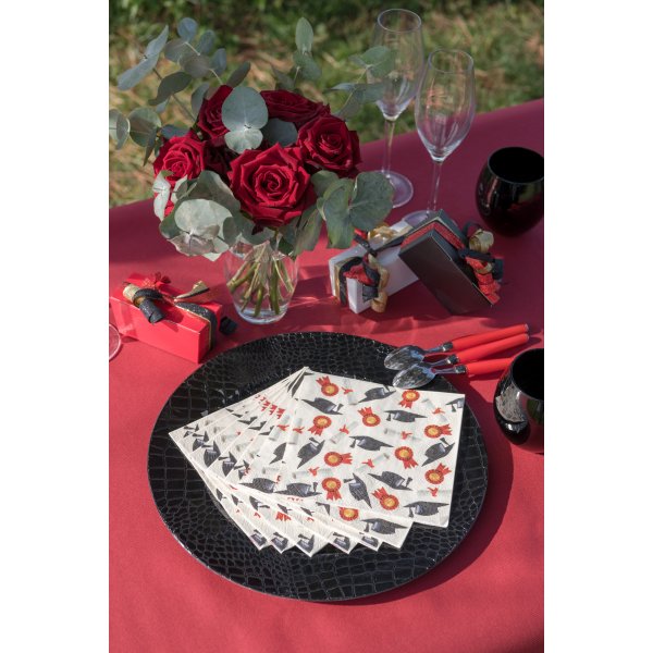 Servietten - Abschlussfeier - 20er-Packung (33 x 33 cm) Servietten - Abschlussfeier - 20er-Packung (33 x 33 cm)