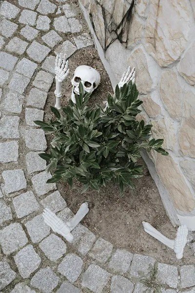 Skelettteile - Halloween-Dekoration