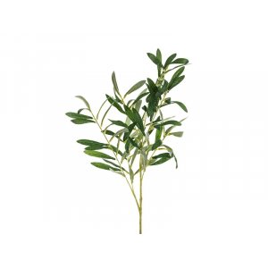 Olivenzweig - 91 cm