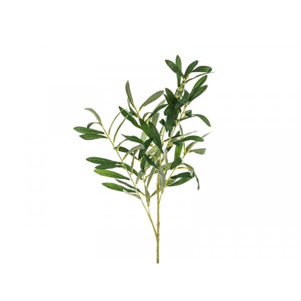 Olivenzweig - 91 cm Olivenzweig - 91 cm