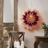 Weihnachtssterne/Beleuchtung