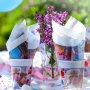 Servietten - Frozen 2 - 20er-Packung Servietten - Frozen 2 - 20er-Packung