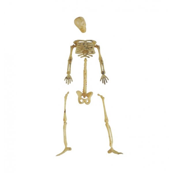 Kleine Skelettteile - Halloween Deko
