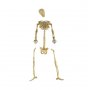 Kleine Skelettteile - Halloween Deko