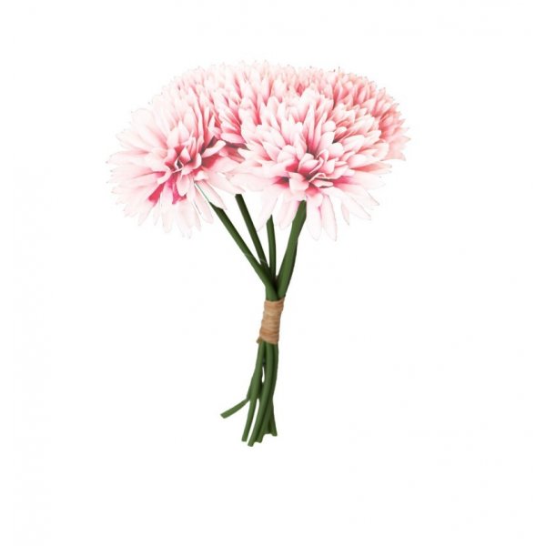 Dahlien - 6er-Pack - Pastellrosa Dahlien - 6er-Pack - Pastellrosa