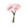 Dahlien - 6er-Pack - Pastellrosa Dahlien - 6er-Pack - Pastellrosa