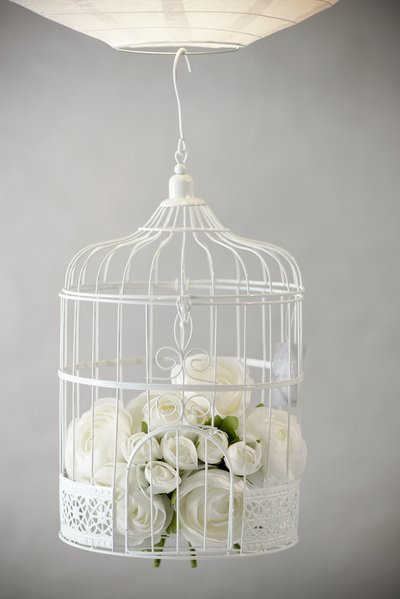 Vogelkfig - Wei