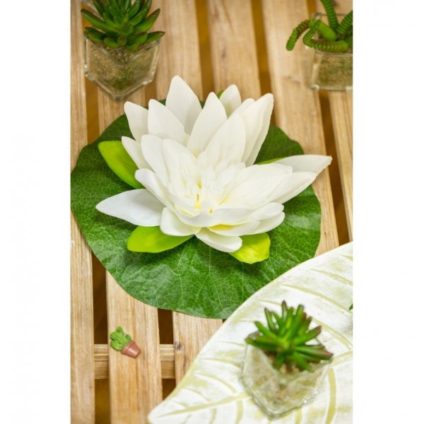 Weißer Lotus - 22 cm Weißer Lotus - 22 cm