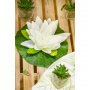 Weißer Lotus - 22 cm Weißer Lotus - 22 cm