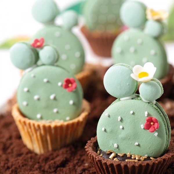Zuckerdekorationen - Kleine Blüten - Weiß - 30 Stück Zuckerdekorationen - Kleine Blüten - Weiß - 30 Stück