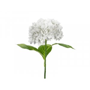 Hortensie - 69 cm - Premium - Weiß Hortensie - 69 cm - Premium - Weiß