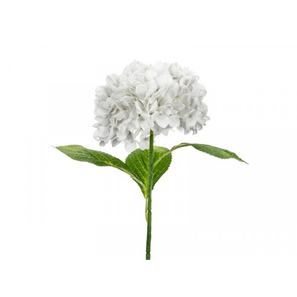 Hortensie - 69 cm - Premium - Weiß Hortensie - 69 cm - Premium - Weiß