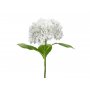 Hortensie - 69 cm - Premium - Weiß Hortensie - 69 cm - Premium - Weiß